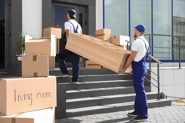 Male local movers carrying shelving unit into new house, apartment moving